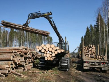 Лесная промышленность